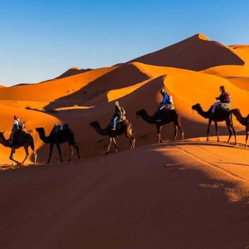 3 Days Desert Tour from Marrakech to Fes via Merzouga 